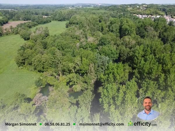 Terrain
        
        - 11043 m²