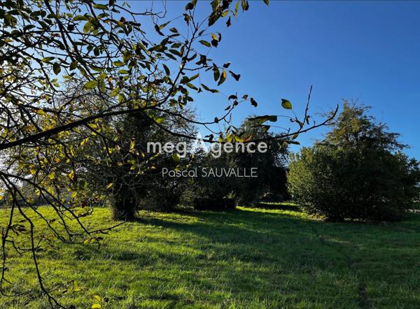 Terrain à CHATEAU-L'EVEQUE, 24460 - 891m²