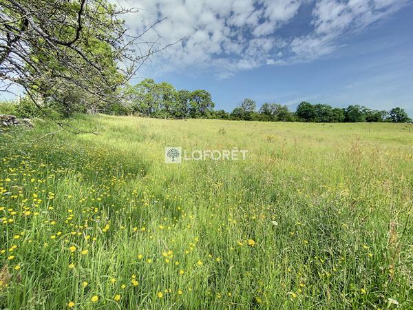 Achat terrain Lieutadès - 941 m² - 15 422 €