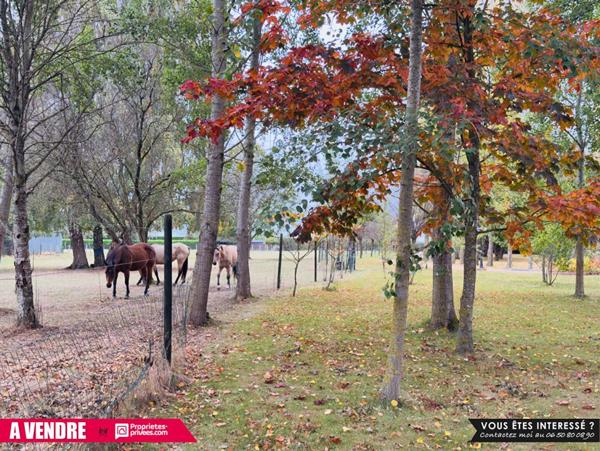Propriété de 230 m² sur environ 3 hectares avec piscine, prairies et cadre paisible - 589 500