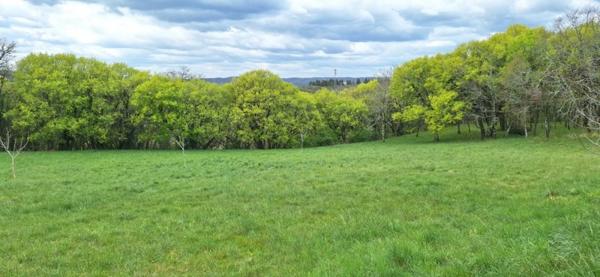 Terrain à vendre |  Pinsac |  6000 m²