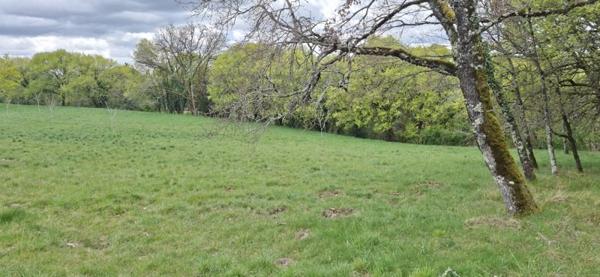 Terrain à vendre |  Pinsac |  6000 m²