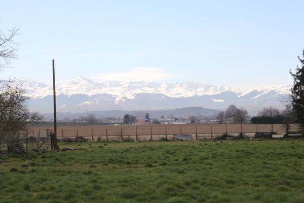 Vente / Maison