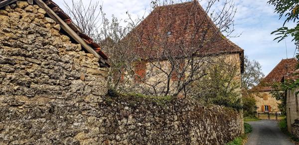 Une toile vierge avec un fabuleux potentiel