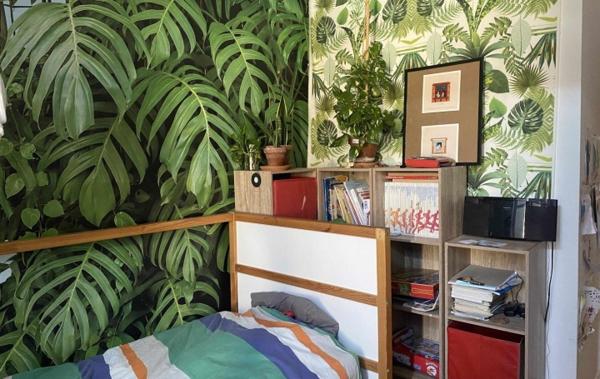 Vente Appartement P4 Albi