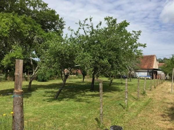 Barn to renovate with attached garden