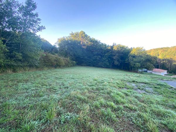 A vendre terrain constructible - tout à l'égout 1.253 m2 Périgueux (24000)