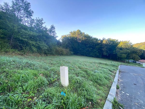 A vendre terrain constructible - tout à l'égout 1.253 m2 Périgueux (24000)