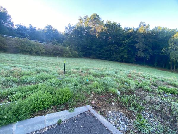 A vendre terrain constructible - tout à l'égout 1.253 m2 Périgueux (24000)
