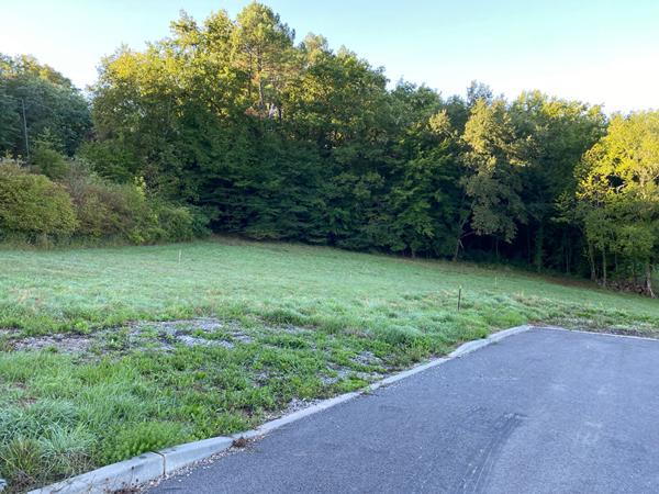 A vendre terrain constructible - tout à l'égout 1.253 m2 Périgueux (24000)
