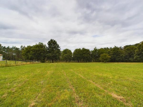 Très grande maison avec potentiel de gîte supplémentaire/terrains à bâtir