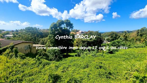 Terrain constructible à FORT DE FRANCE (97200)