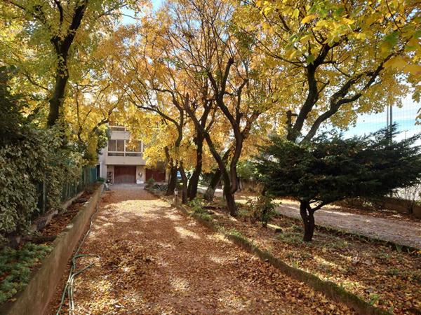 Maison de 289 m2 comprenant 3 appartements