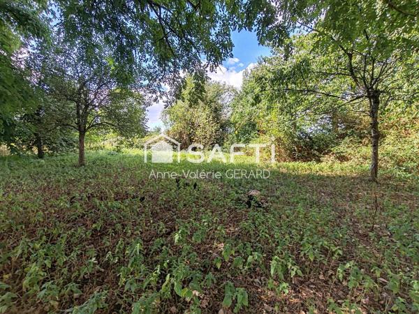 Terrain arboré 4 203 m² proche St Hilaire du Harcouet