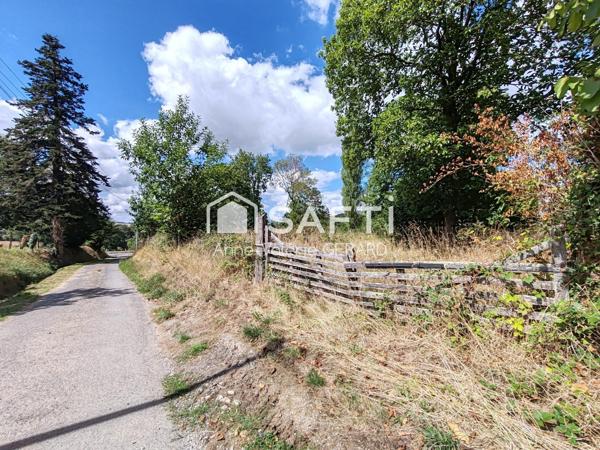 Terrain arboré 4 203 m² proche St Hilaire du Harcouet