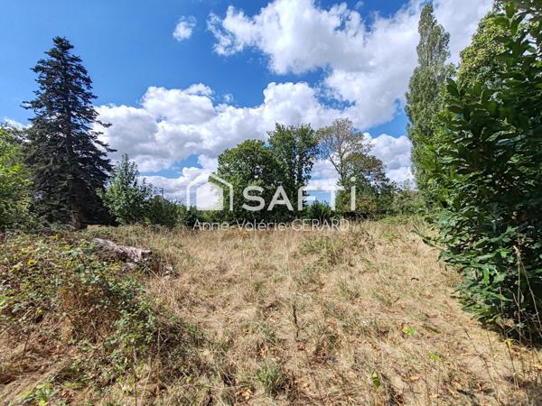 Terrain arboré 4 203 m² proche St Hilaire du Harcouet