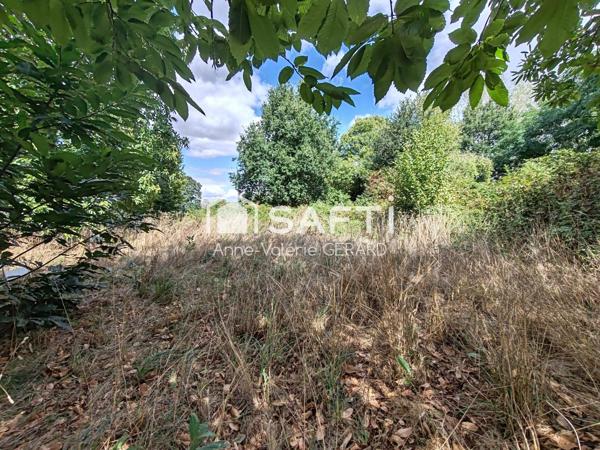 Terrain arboré 4 203 m² proche St Hilaire du Harcouet