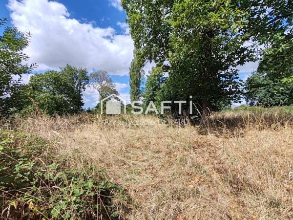 Terrain arboré 4 203 m² proche St Hilaire du Harcouet