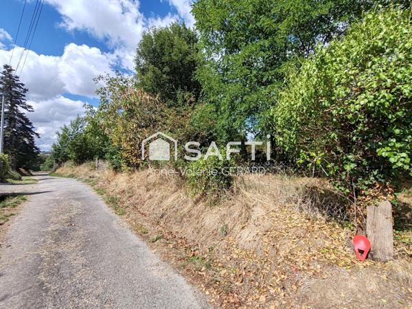 Terrain arboré 4 203 m² proche St Hilaire du Harcouet