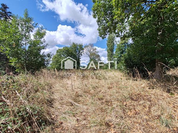 Terrain arboré 4 203 m² proche St Hilaire du Harcouet