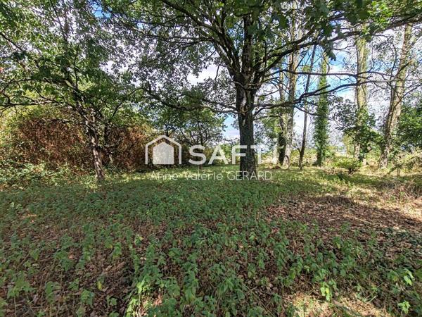 Terrain arboré 4 203 m² proche St Hilaire du Harcouet
