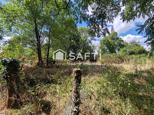 Terrain arboré 4 203 m² proche St Hilaire du Harcouet