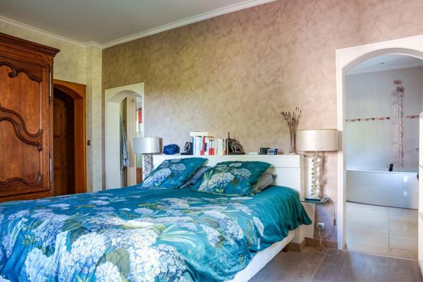 Propriété d'exception - piscine couverte - mare - vignes