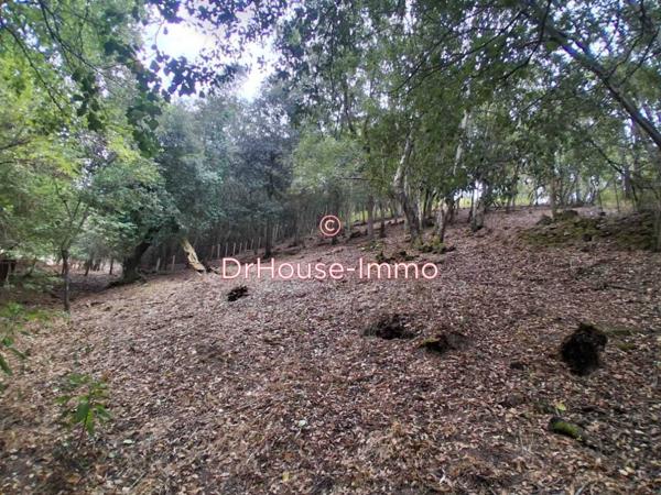 Terrain à vendre de 1 500 m²