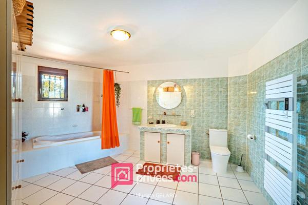 Maison Fonsorbes - 8 pièce(s) - 300 m2