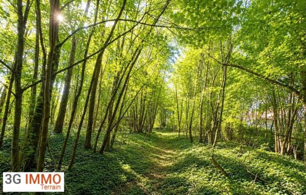 Vente / Terrain constructible à Méry-sur-Oise (95540)