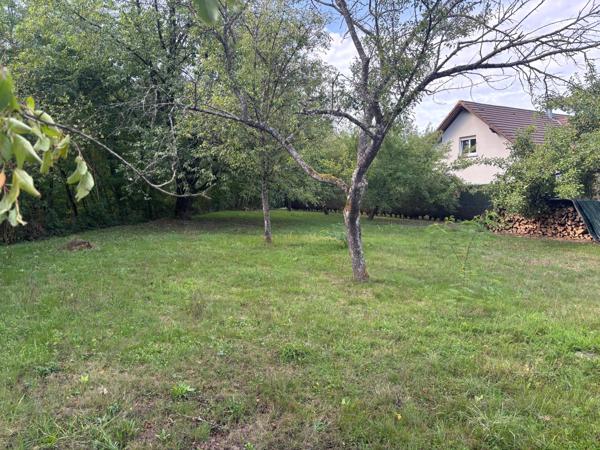 Terrain constructible