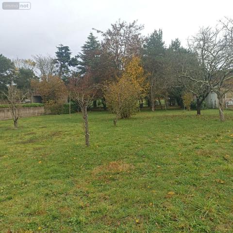 Terrain à Batir à vendre à Valdivienne dans la Vienne (86300), ref : 2521