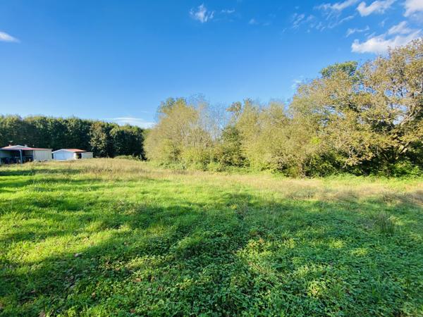 Castelnau-Chalosse (40360) Terrain de 3 783 m² au calme avec vue campagne
