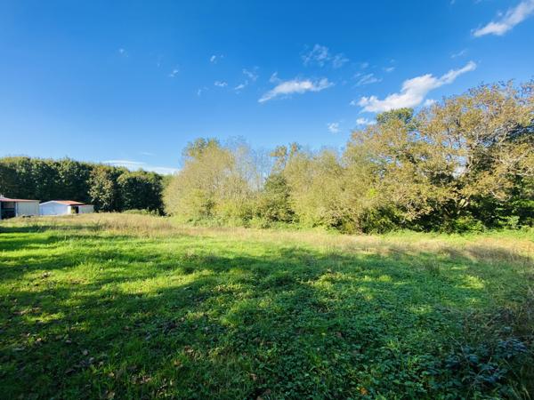 Castelnau-Chalosse (40360) Terrain de 3 783 m² au calme avec vue campagne
