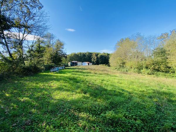 Castelnau-Chalosse (40360) Terrain de 3 783 m² au calme avec vue campagne