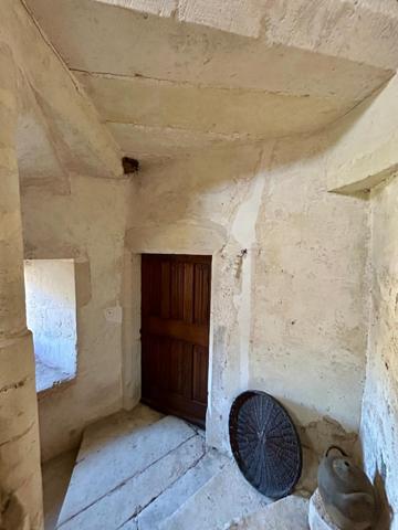 VOUILLÉ BOURG - PROPRIETE XVIIème  Vouillé (86190)