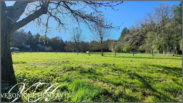 Un havre de paix pour cette charmante chaumière sise sur 1,4 ha