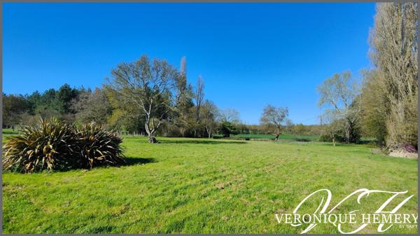 Un havre de paix pour cette charmante chaumière sise sur 1,4 ha