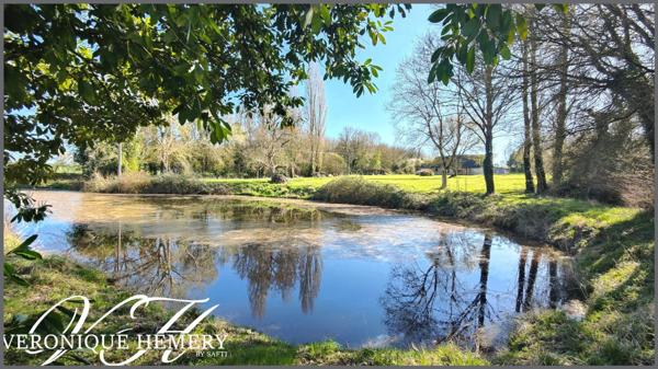 Un havre de paix pour cette charmante chaumière sise sur 1,4 ha