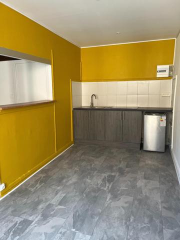 Appartement à SAINT-ETIENNE, 42000 - 1 pièce 28m²