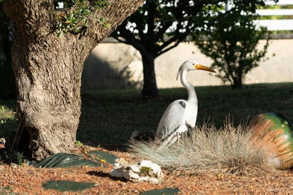 Maison de Plain-Pied Conviviale et Spacieuse . Proche Tours Nord