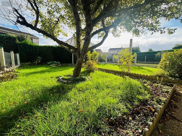 Achat - Maison Bourbourg 59630 5 pièces 81 m 2 320 m 2