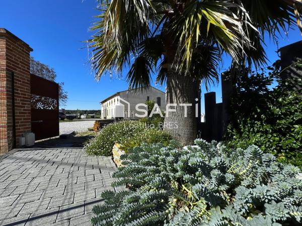 Toulousaine typique T4 mixte habitat/professionnel