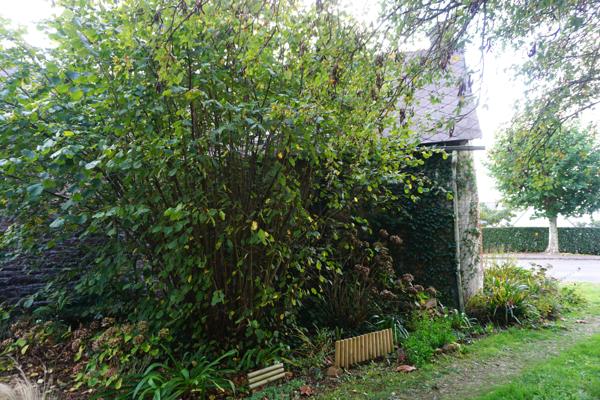 Maison 2 pièces à rénover