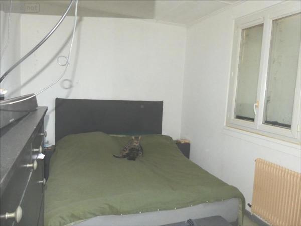 Maison à vendre à Saint-Doulchard dans le Cher (18230), ref : 04058