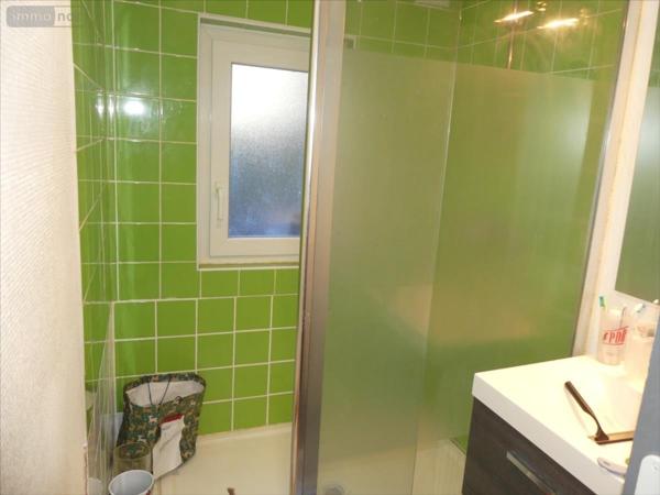 Maison à vendre à Saint-Doulchard dans le Cher (18230), ref : 04058