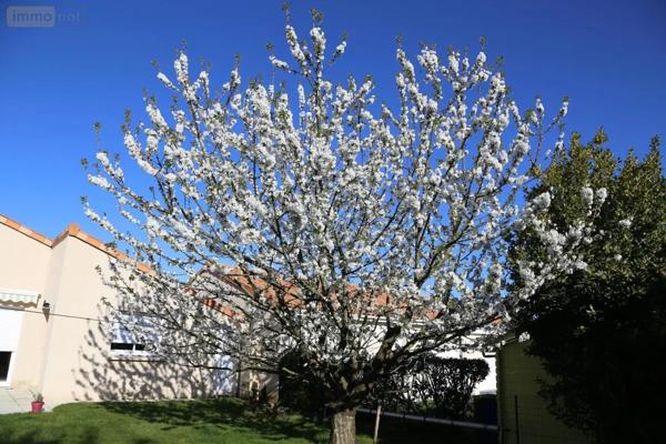 Achat - Maison La Séguinière 49280 6 pièces 140 m 2 500 m 2