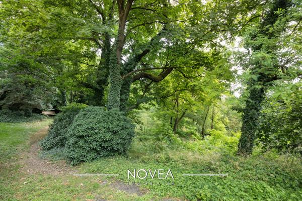 T4 de 81 m2 lumineux dans la verdure