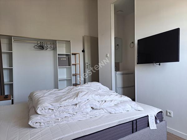 T5 MEUBLE EN DUPLEX DE CHARME - SECTEUR GARE CENTRE