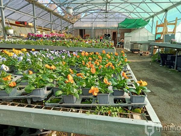 reprise fond de commerce horticole vic en bigorre